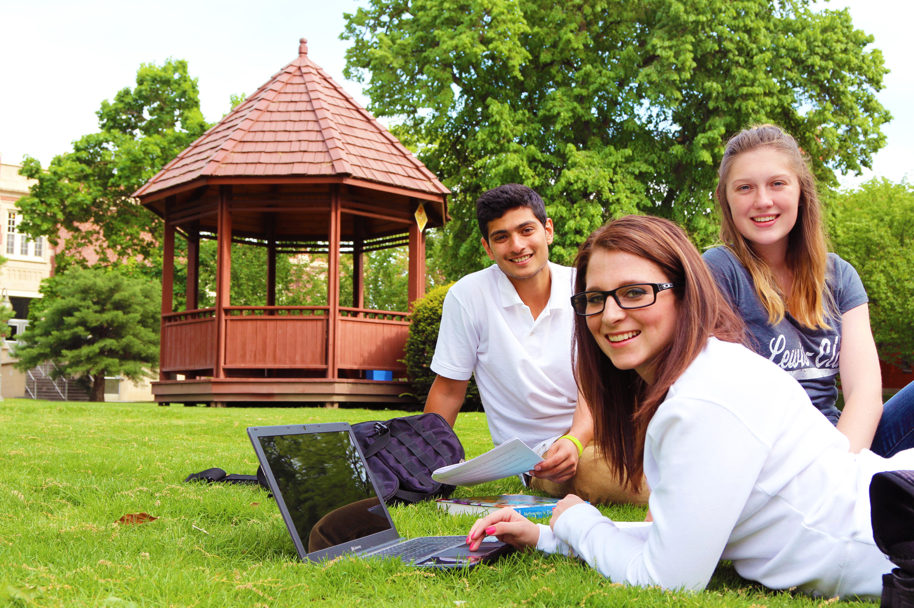Students studying on the lawn
