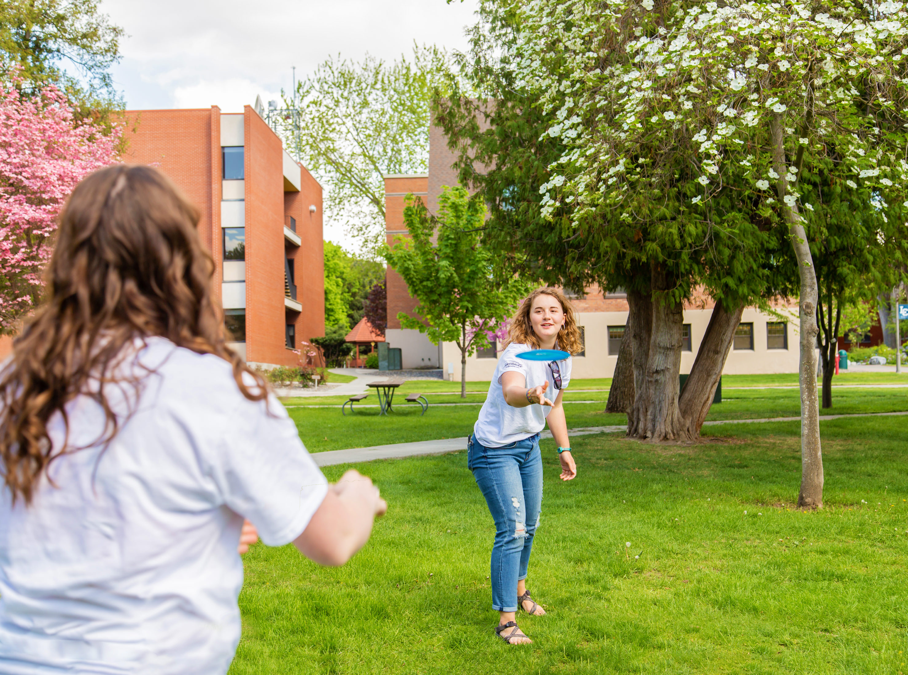 Students throwing a frisbee