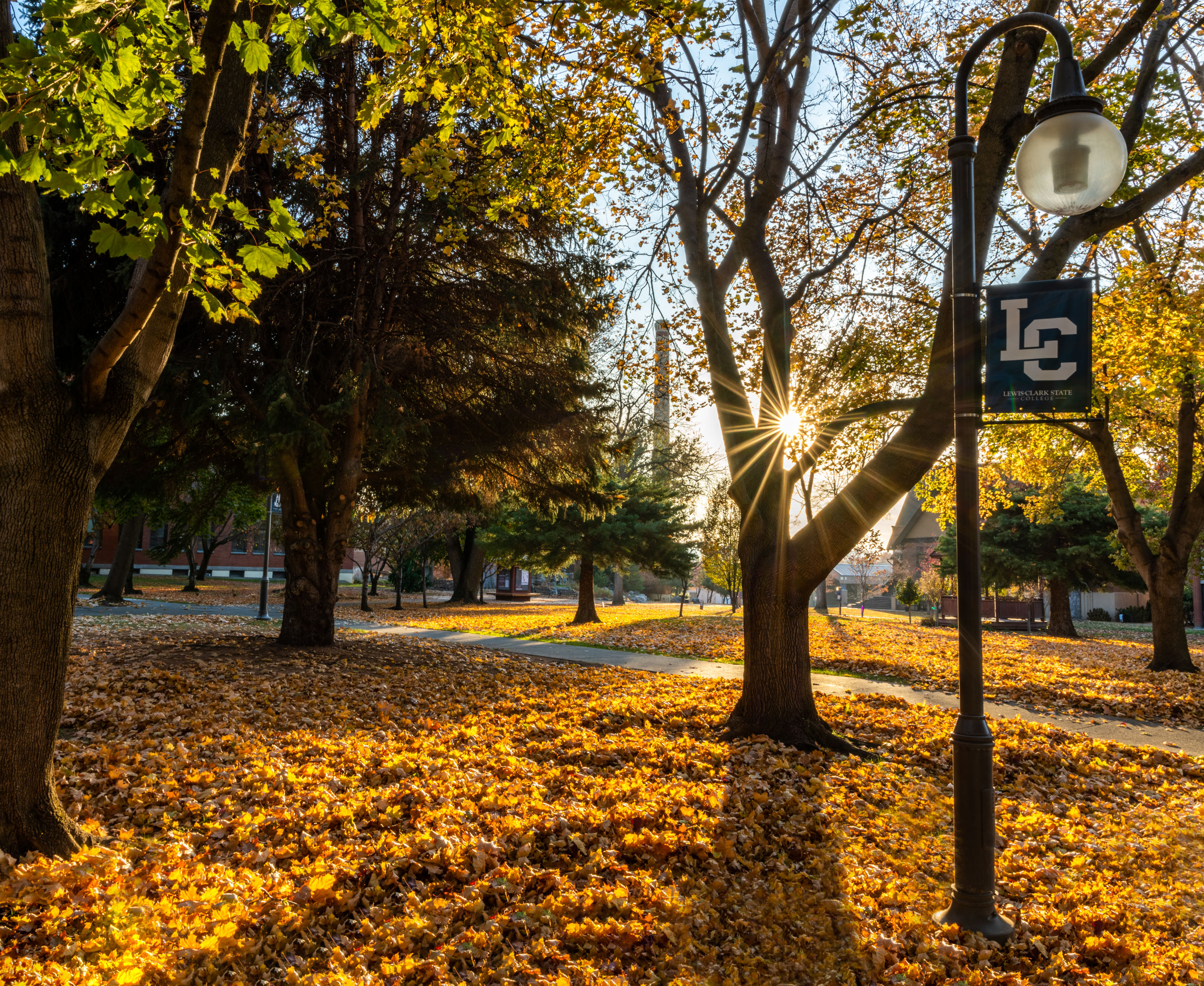 Fall at LC State Campus