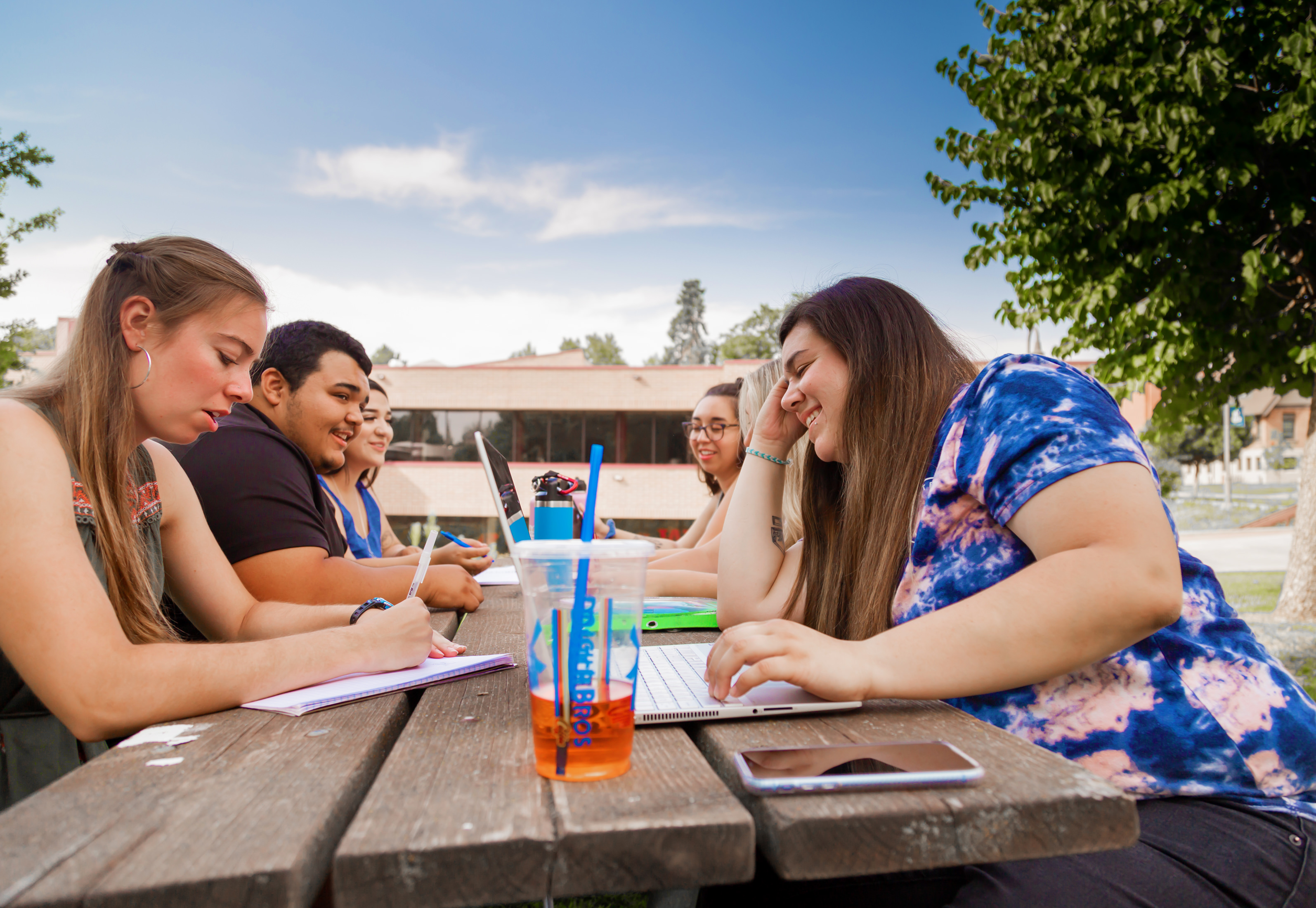 Students studying at a picnic table